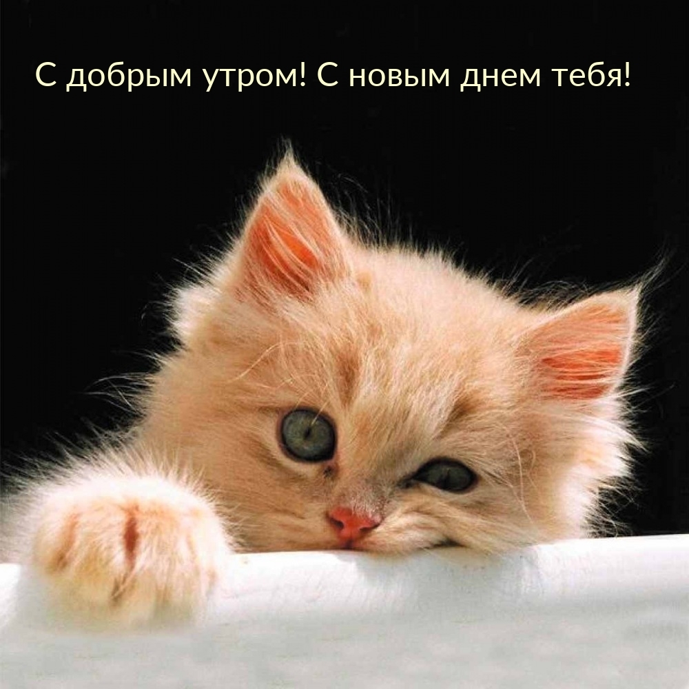 С добрым утром! С новым днем тебя!