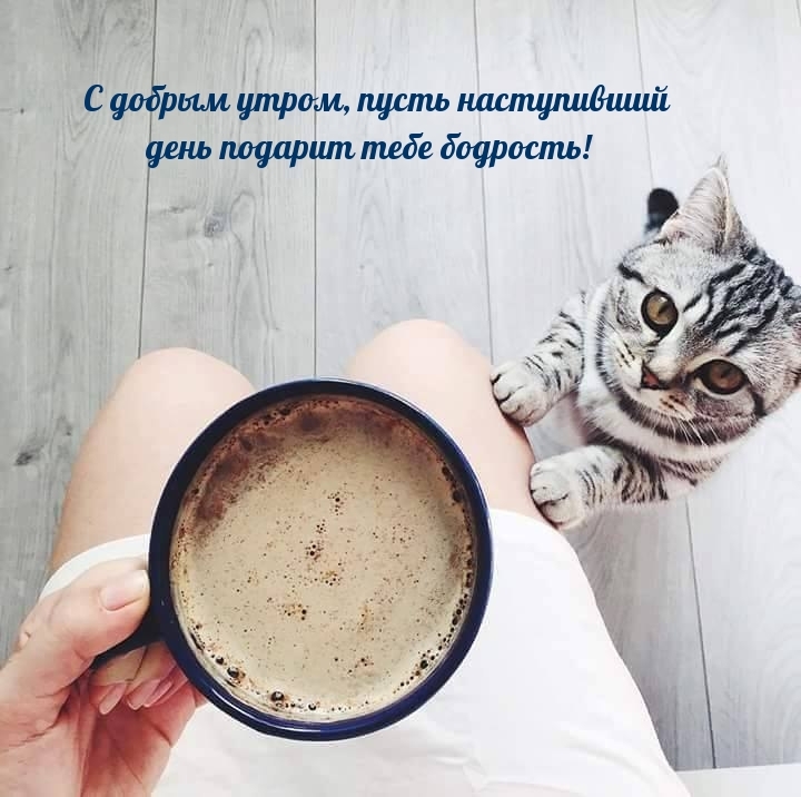 С добрым утром, пусть наступивший день подарит тебе бодрость!