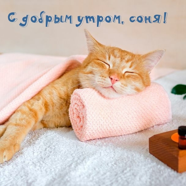 С добрым утром, соня!