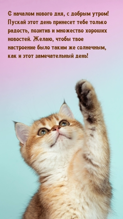 С началом нового дня, с добрым утром!