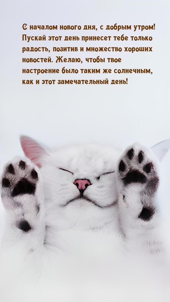 С началом нового дня, с добрым утром!