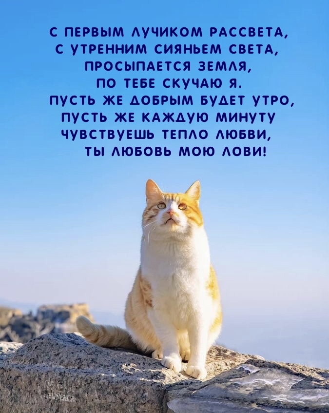 С первым лучиком рассвета, с утренним сияньем света