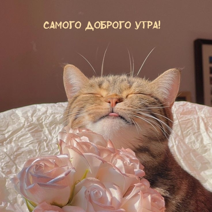 Самого доброго утра!