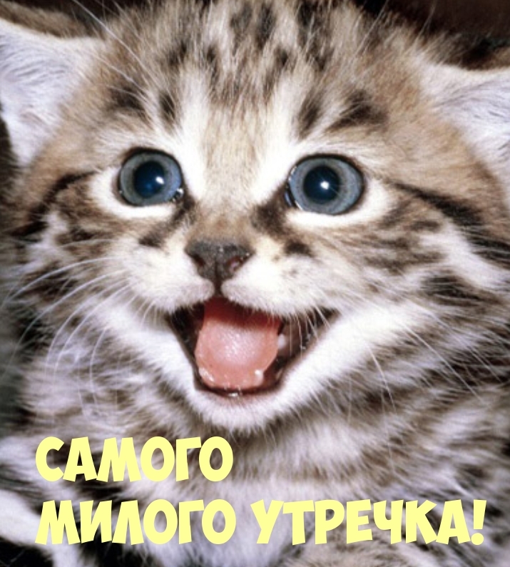 Самого Милого Утречка!