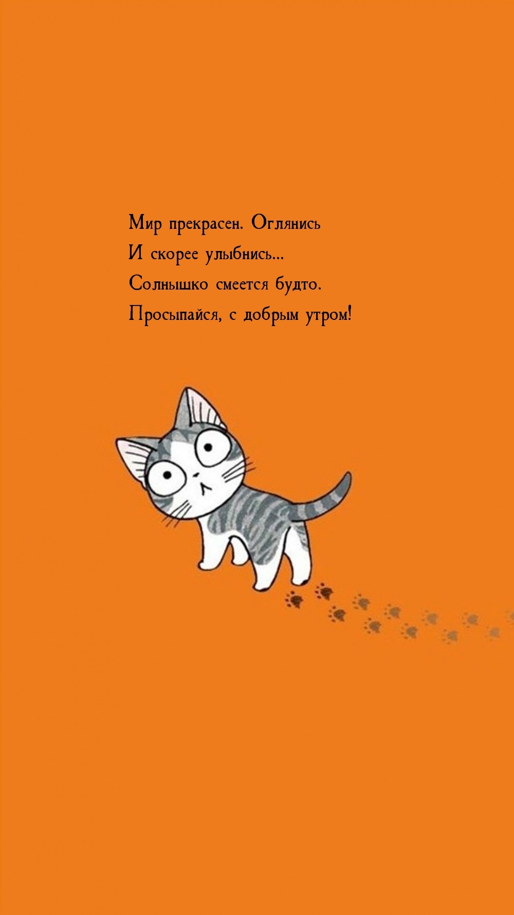 Солнышко смеется будто. Просыпайся, с добрым утром!