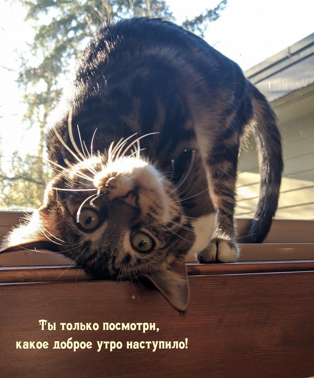 Ты только посмотри, какое доброе утро наступило!