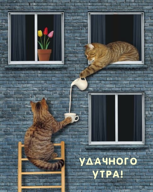 Удачного Утра!