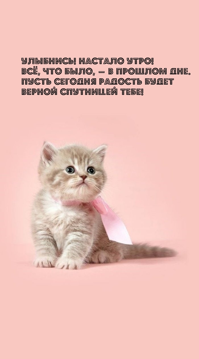 Улыбнись! Настало утро! Все, что было, — в прошлом дне.