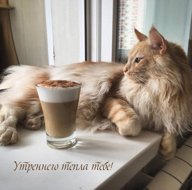 Утреннего тепла тебе!