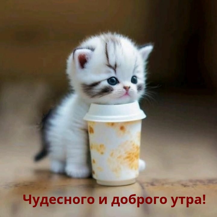 Чудесного и доброго утра!