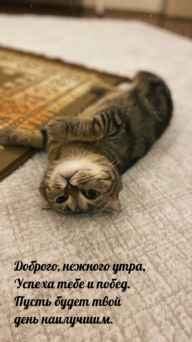 Доброго, нежного утра, успеха тебе и побед.