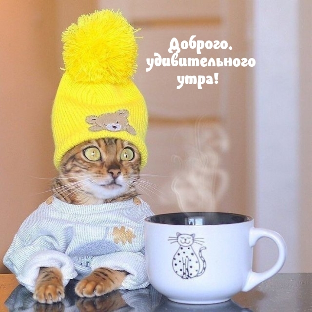 Доброго, удивительного утра!