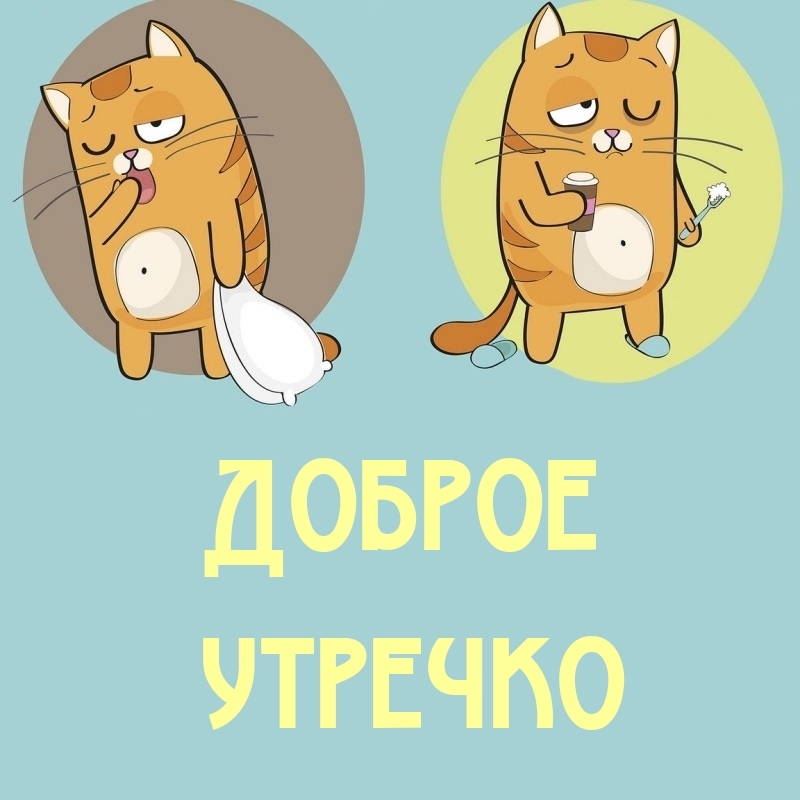 Доброе утречко