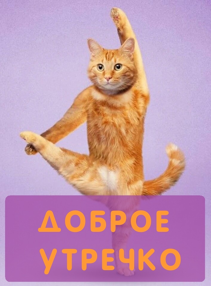 Доброе утречко