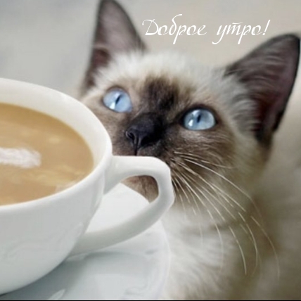 Доброе утро!