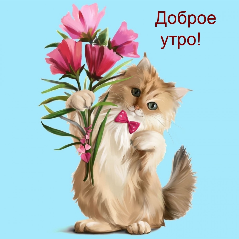 Доброе утро!