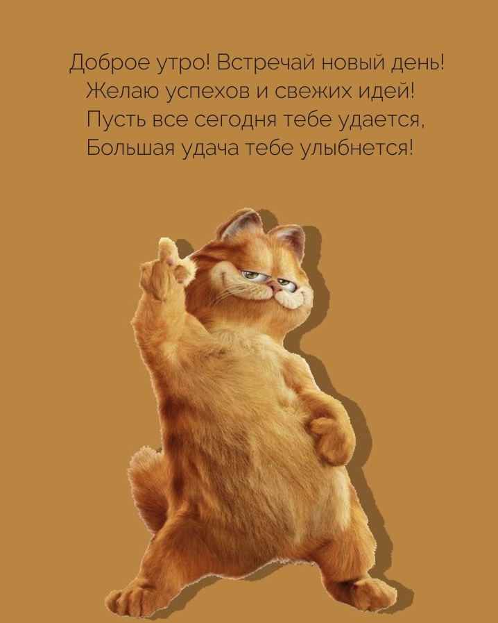 Доброе утро! Встречай новый день! Желаю успехов и свежих идей!