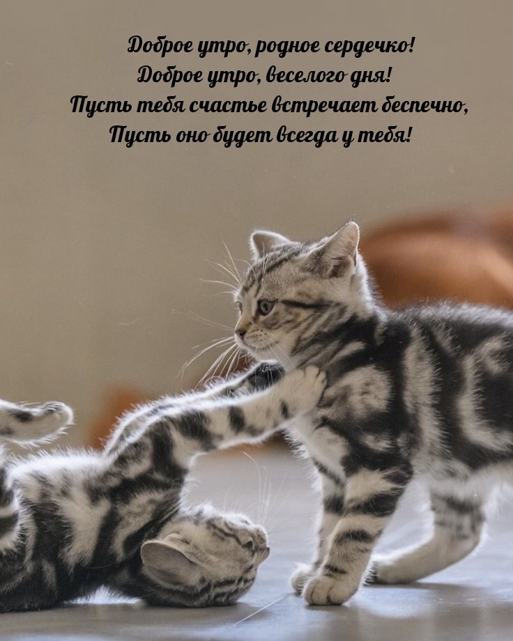 Доброе утро, родное сердечко!