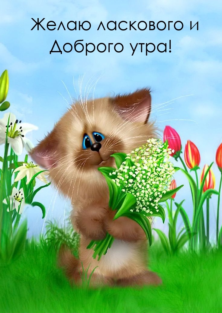 Желаю ласкового и доброго утра!