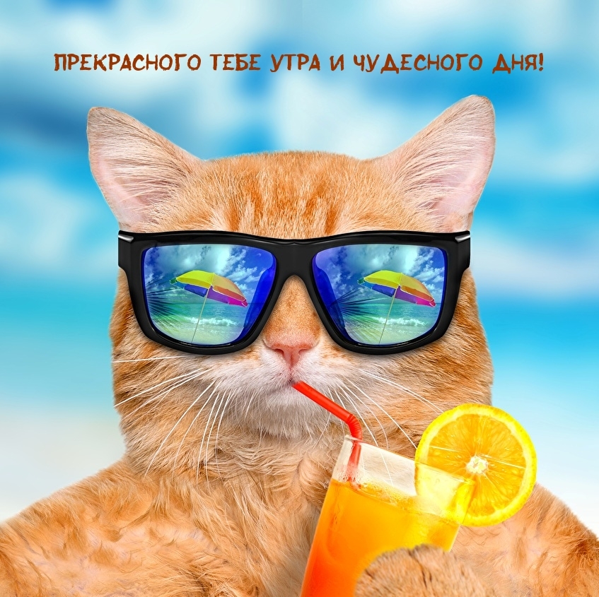 Прекрасного тебе утра и чудесного дня!