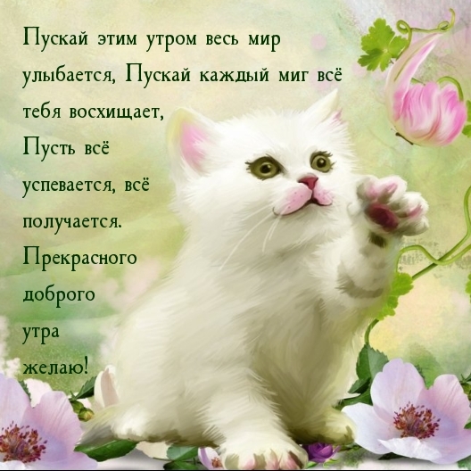 Пускай этим утром весь мир улыбается