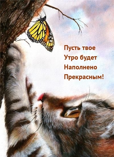 Пусть твое утро будет наполнено прекрасным!