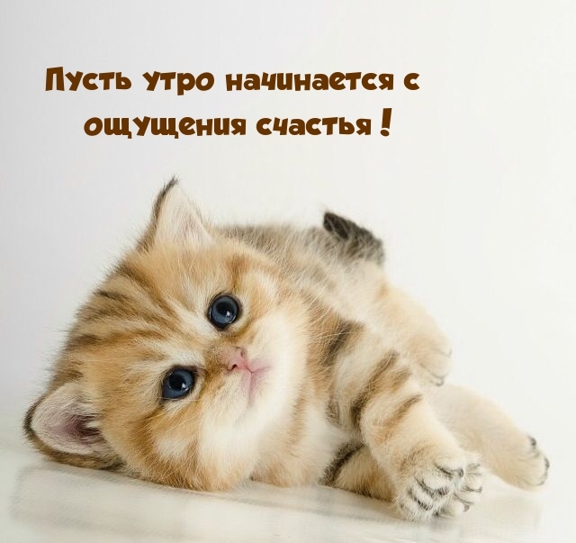 Пусть утро начинается с ощущения счастья!