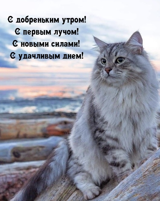 С добреньким утром! С первым лучом!