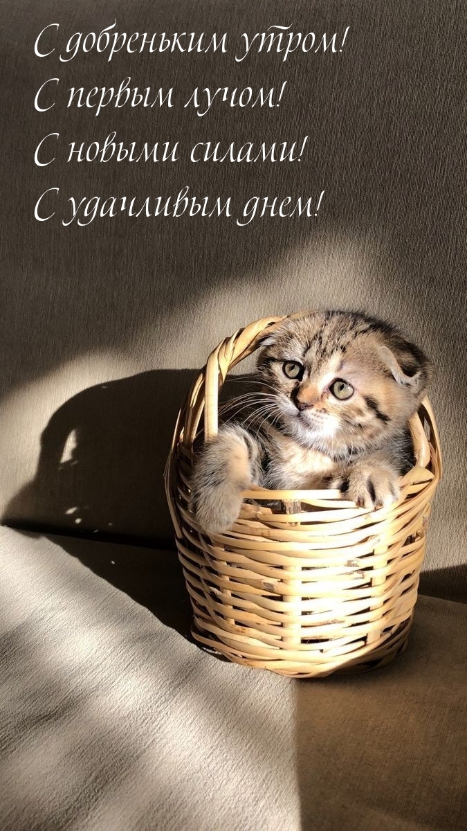 С добреньким утром! С первым лучом!