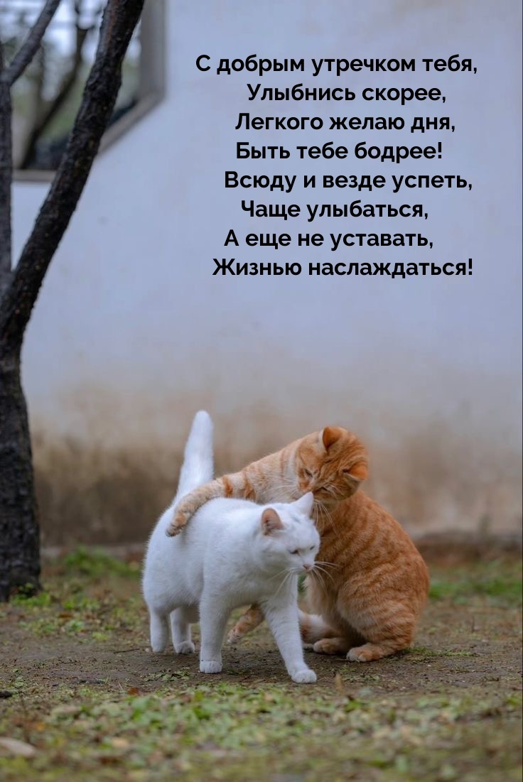 С добрым утречком тебя, улыбнись скорее