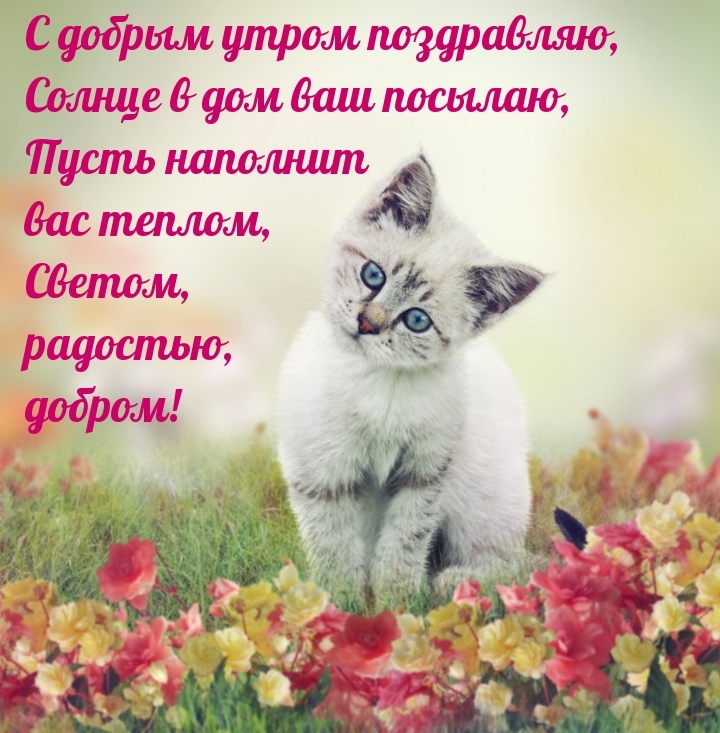 С добрым утром поздравляю, солнце в дом ваш посылаю