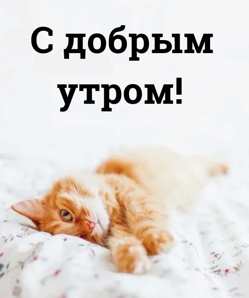 С добрым утром!