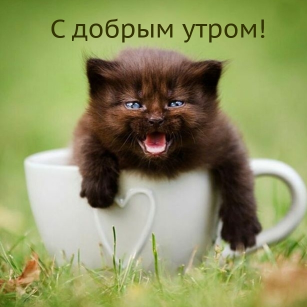 С добрым утром!