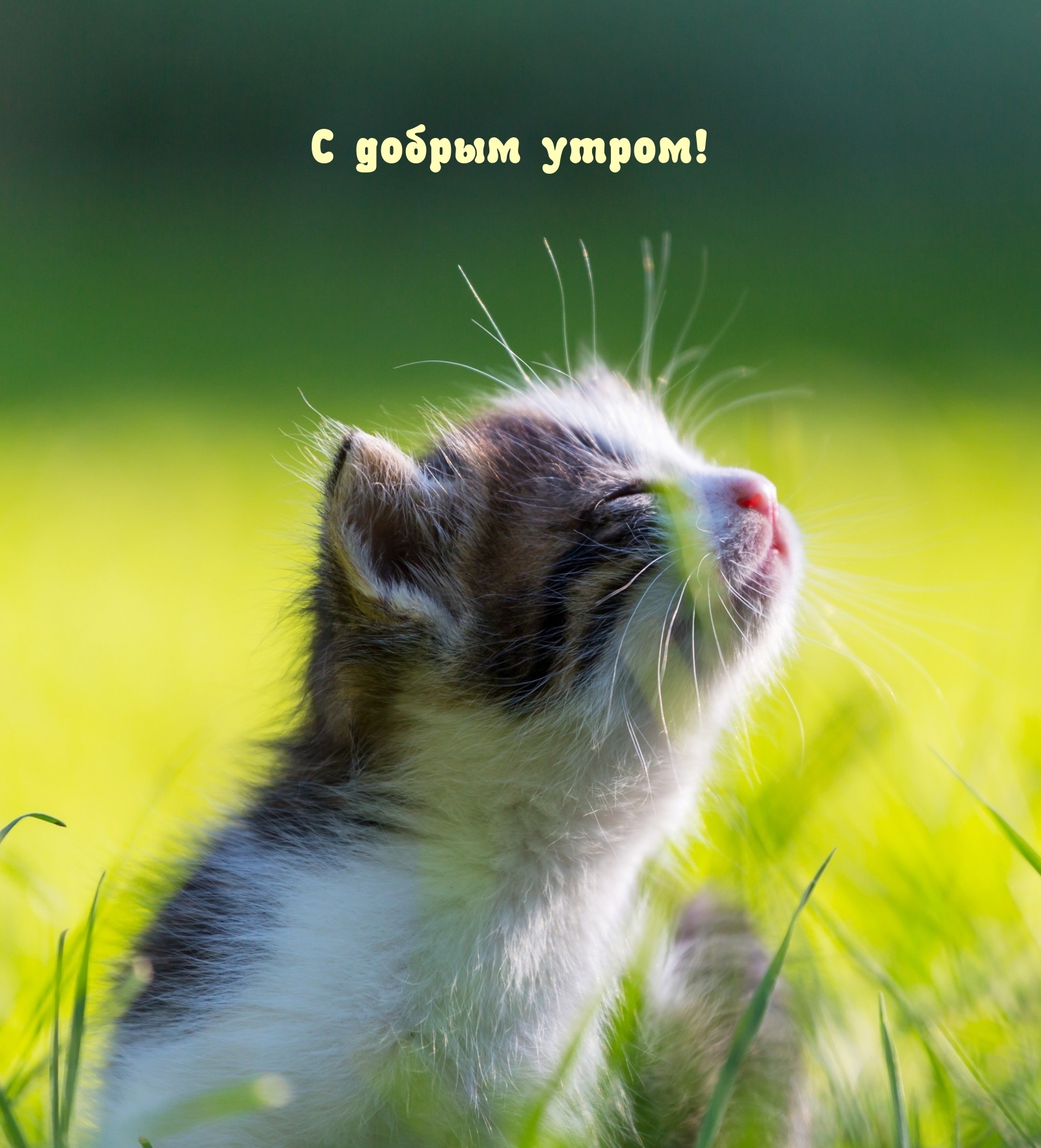 С добрым утром!