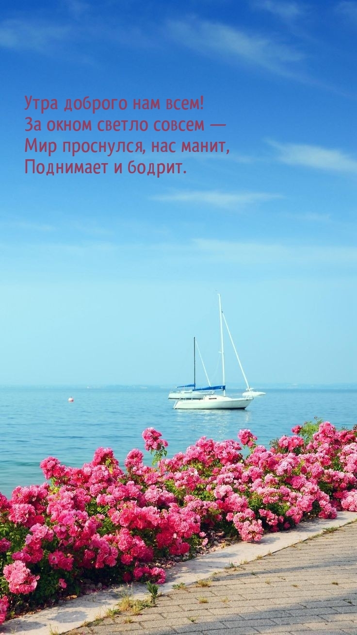 Утра доброго нам всем! За окном светло совсем