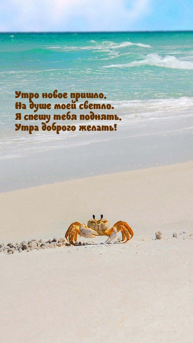 Утро новое пришло, на душе моей светло.