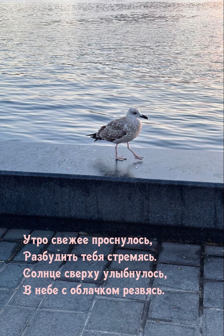 Утро свежее проснулось, разбудить тебя стремясь.
