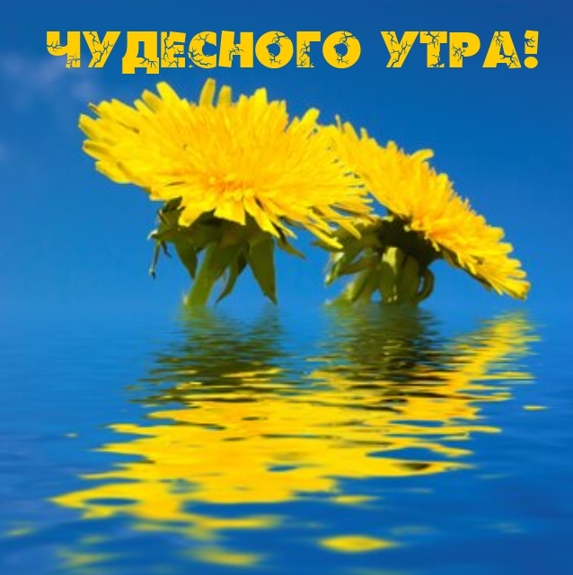 Чудесного утра!