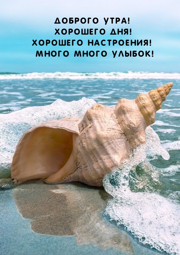 Доброго Утра! Хорошего дня! Хорошего настроения!