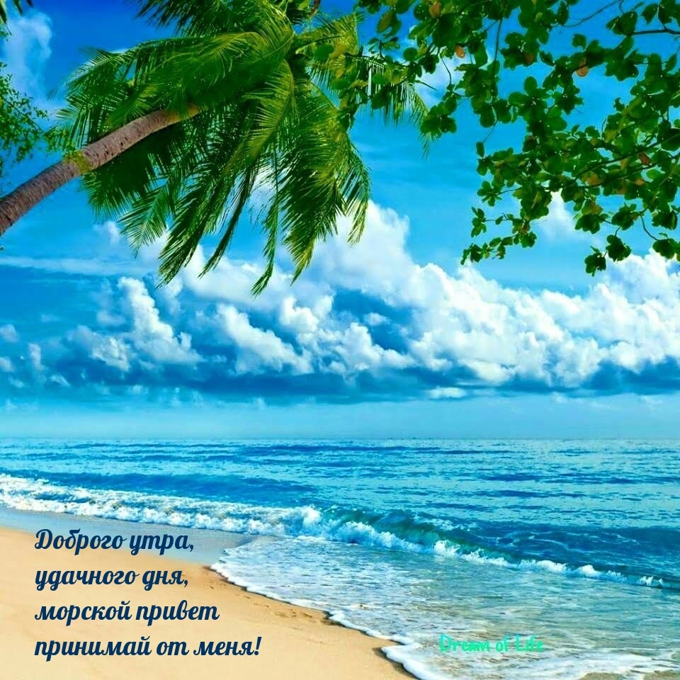 Доброго утра, удачного дня, морской привет принимай от меня!