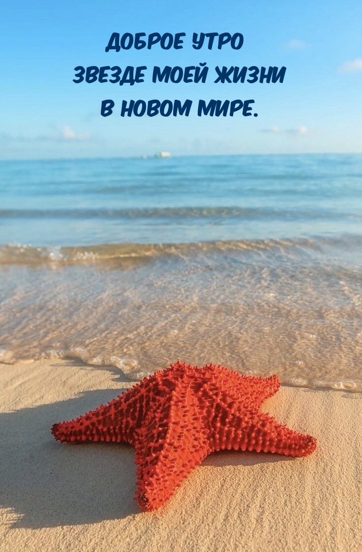 Доброе утро звезде моей жизни в новом мире.