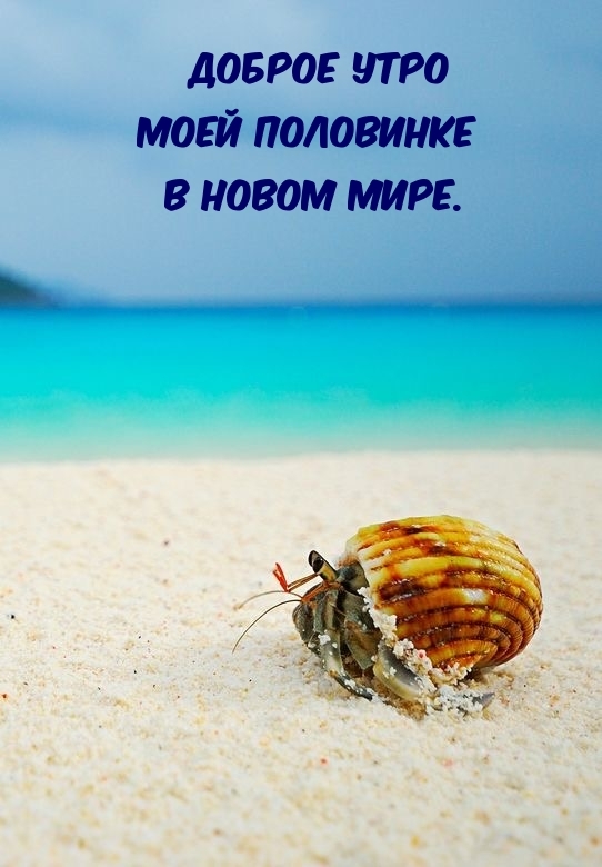 Доброе утро моей половинке в новом мире.