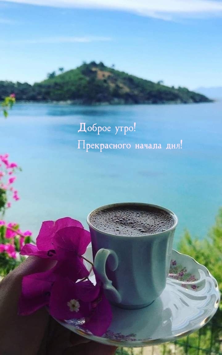 Доброе утро! Прекрасного начала дня!