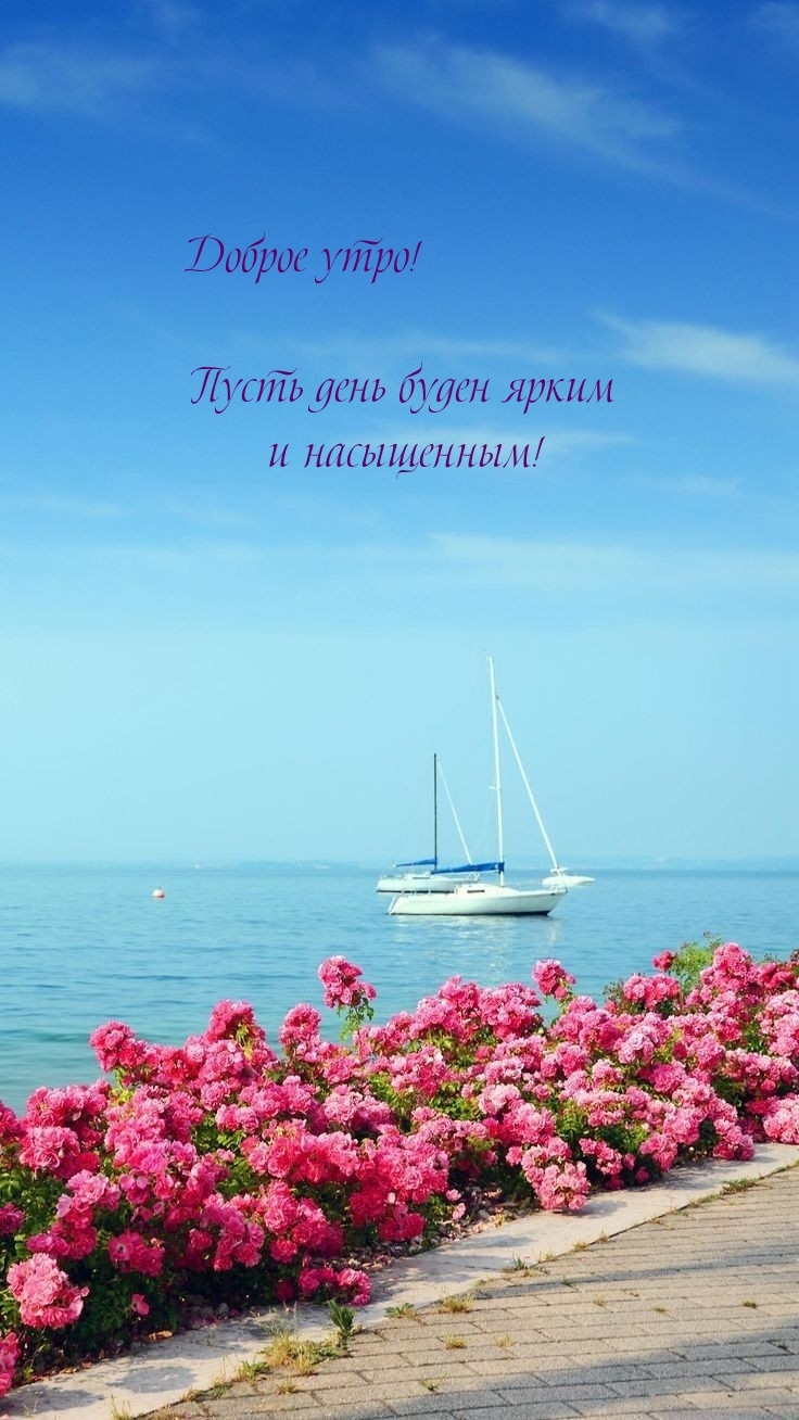 Доброе утро! Пусть день буден ярким и насыщенным!