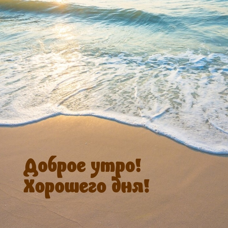 Доброе утро! Хорошего дня!