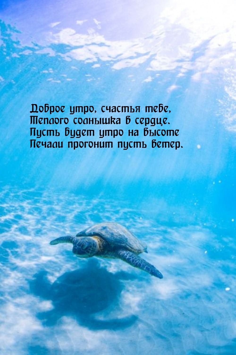 Доброе утро, счастья тебе, теплого солнышка в сердце.