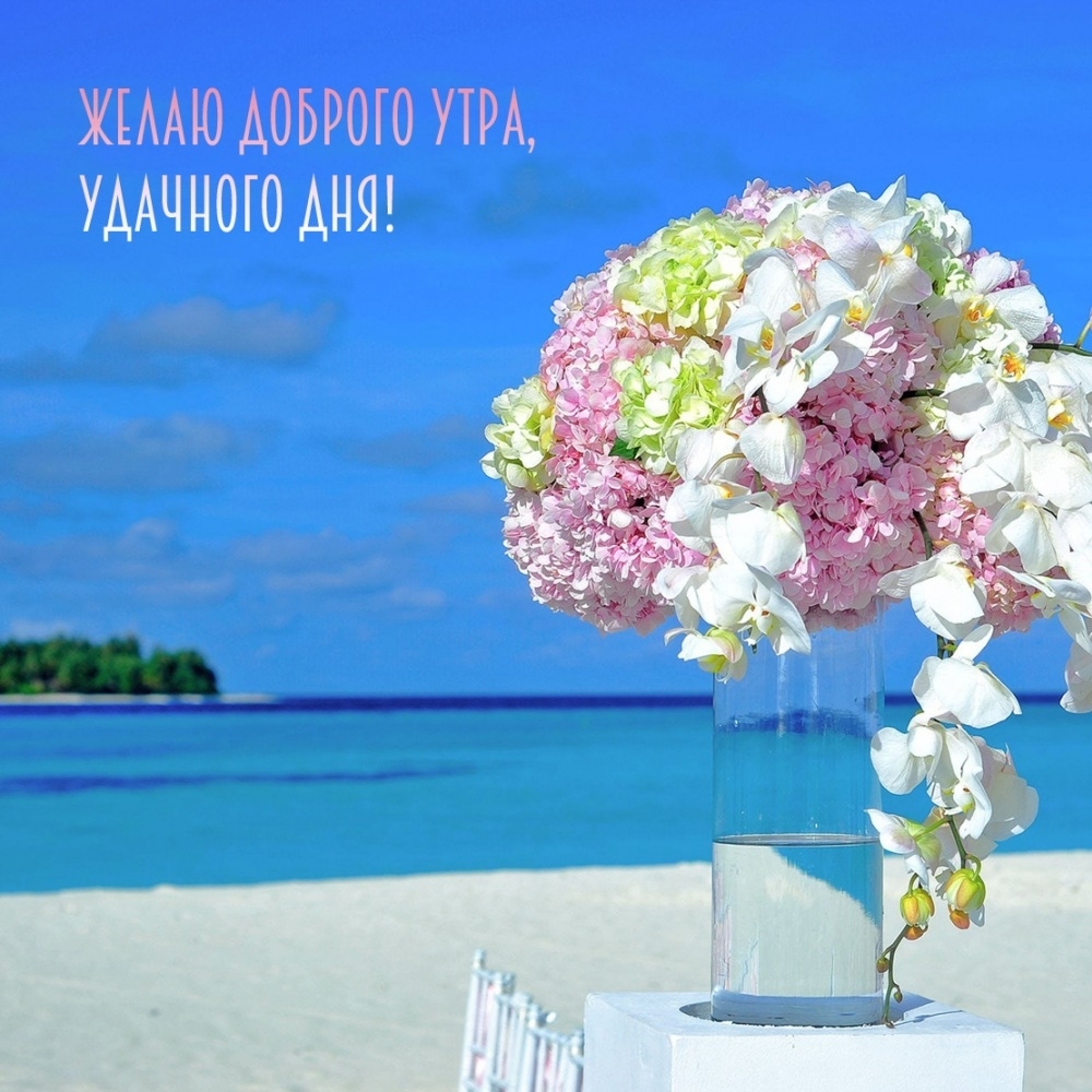 Желаю доброго утра, удачного дня!