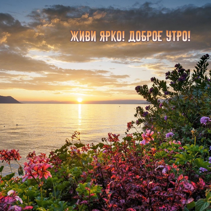 Живи ярко! Доброе утро!