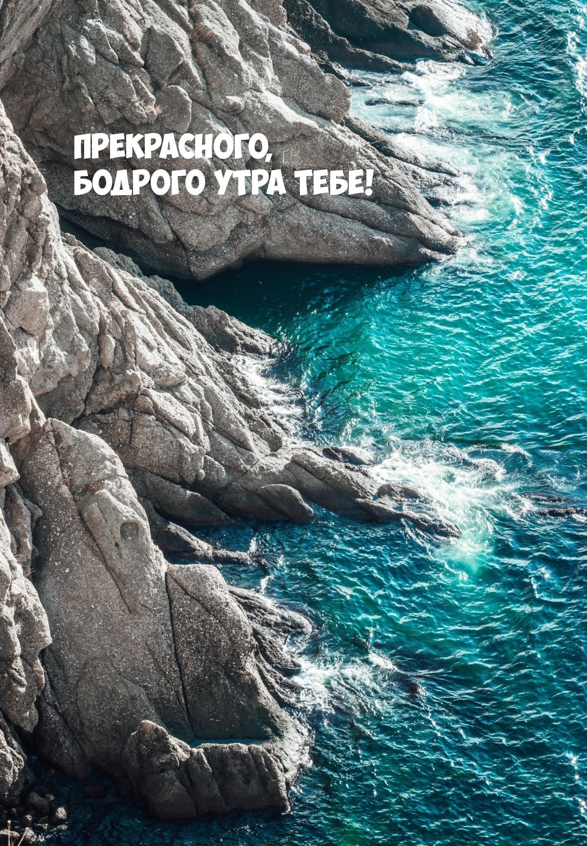 Прекрасного, бодрого утра тебе!