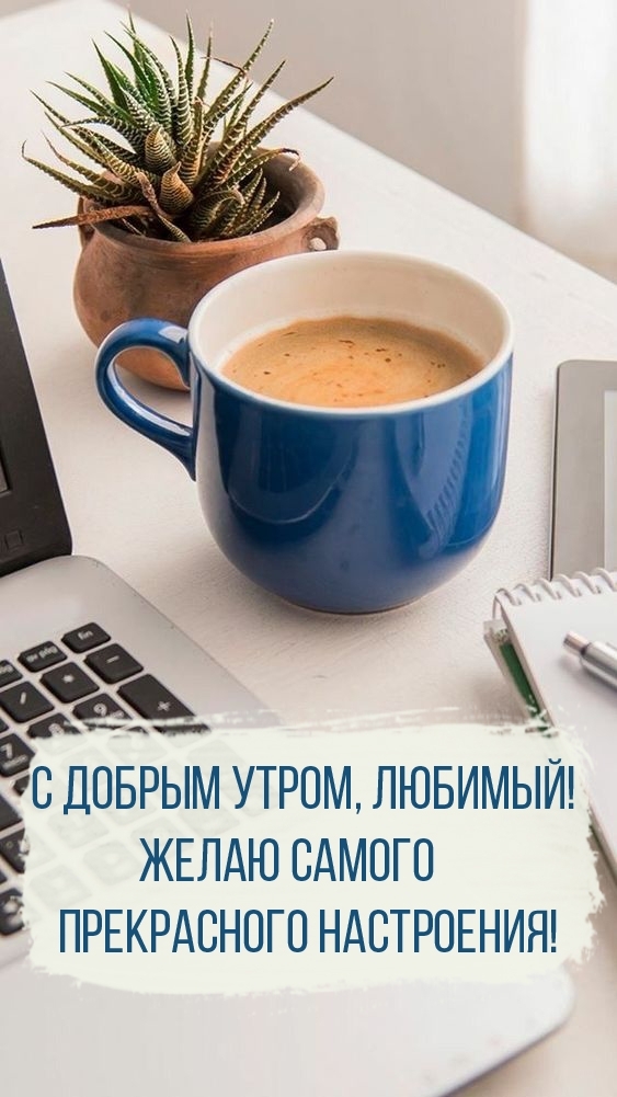С добрым утром, любимый! Желаю прекрасного настроения!